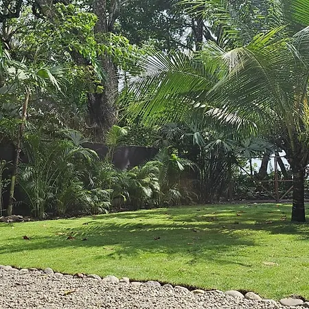 Oceanfront House With Ac, Fast Wifi At Cocles Beachbreak Exterior photo